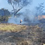 Goiás decreta situação de emergência ambiental por risco extremo de queimadas