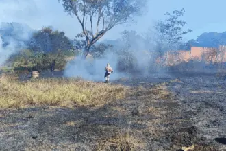 Goiás decreta situação de emergência ambiental por risco extremo de queimadas