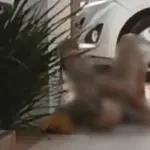 Homem é preso por importunação sexual após se masturbar em via pública no centro de Goianésia