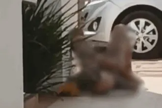 Homem é preso por importunação sexual após se masturbar em via pública no centro de Goianésia