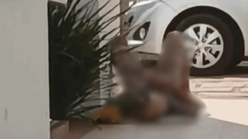 Homem é preso por importunação sexual após se masturbar em via pública no centro de Goianésia