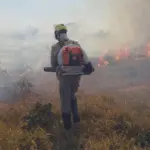 Incêndio florestal atinge área rural de Vila Propício e mobiliza Bombeiros de Goianésia Incêndio florestal atinge área rural de Vila Propício e mobiliza Bombeiros de Goianésia
