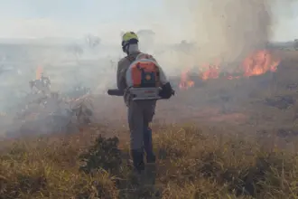 Incêndio florestal atinge área rural de Vila Propício e mobiliza Bombeiros de Goianésia Incêndio florestal atinge área rural de Vila Propício e mobiliza Bombeiros de Goianésia