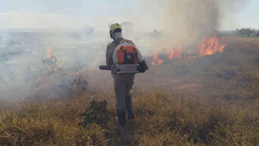 Incêndio florestal atinge área rural de Vila Propício e mobiliza Bombeiros de Goianésia Incêndio florestal atinge área rural de Vila Propício e mobiliza Bombeiros de Goianésia