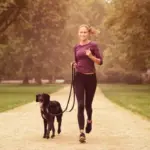 8 dicas para começar a praticar corrida com o cachorro