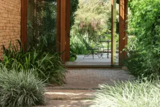 5 cuidados essenciais com as plantas no inverno