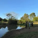 Polícia Civil investiga crime ambiental após despejo de soro em córrego de Palminópolis Polícia Civil investiga crime ambiental após despejo de soro em córrego de Palminópolis