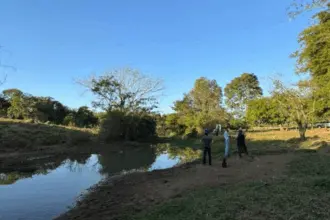 Polícia Civil investiga crime ambiental após despejo de soro em córrego de Palminópolis