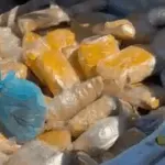 PRF e Polícia Militar Rodoviária apreendem veículo carregado com 90 kg skunk na BR-060 PRF e Polícia Militar Rodoviária apreendem veículo carregado com 90 kg skunk na BR-060