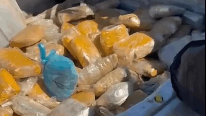 PRF e Polícia Militar Rodoviária apreendem veículo carregado com 90 kg skunk na BR-060 PRF e Polícia Militar Rodoviária apreendem veículo carregado com 90 kg skunk na BR-060