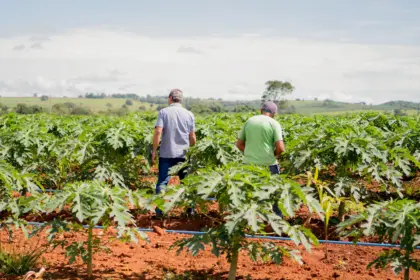 Secretaria de Agricultura de Goianésia já atendeu mais de 850 pequenos produtores em 2025 e se destaca pelo apoio ao campo