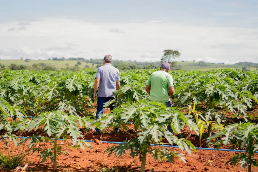 Secretaria de Agricultura de Goianésia já atendeu mais de 850 pequenos produtores em 2025 e se destaca pelo apoio ao campo Secretaria de Agricultura de Goianésia já atendeu mais de 850 pequenos produtores em 2025 e se destaca pelo apoio ao campo