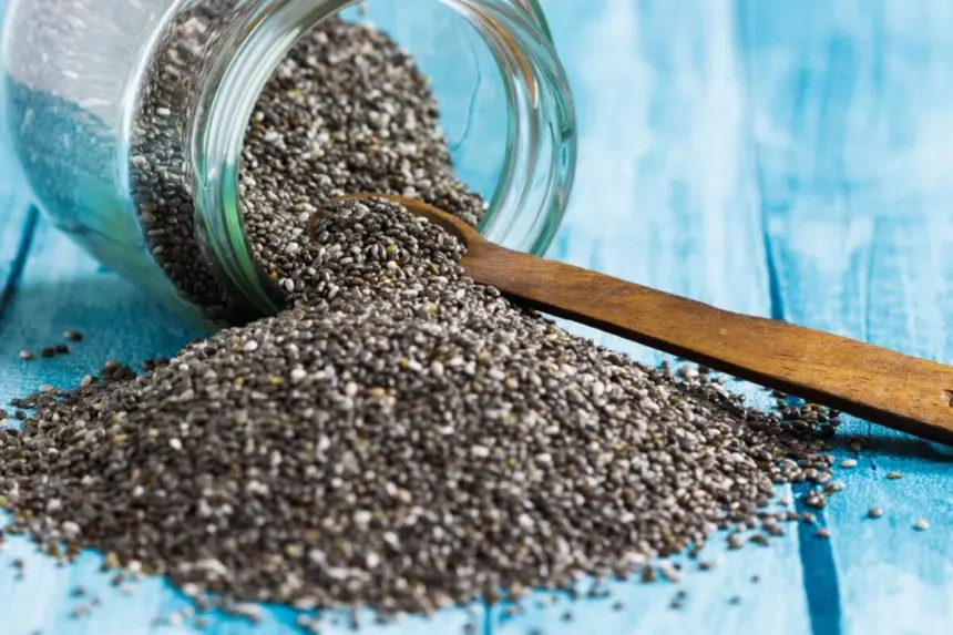 5 motivos para inserir a semente de chia na dieta 5 motivos para inserir a semente de chia na dieta