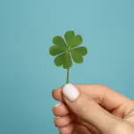 5 amuletos para atrair sorte, proteção e prosperidade 5 amuletos para atrair sorte, proteção e prosperidade