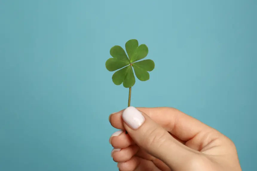 5 amuletos para atrair sorte, proteção e prosperidade 5 amuletos para atrair sorte, proteção e prosperidade