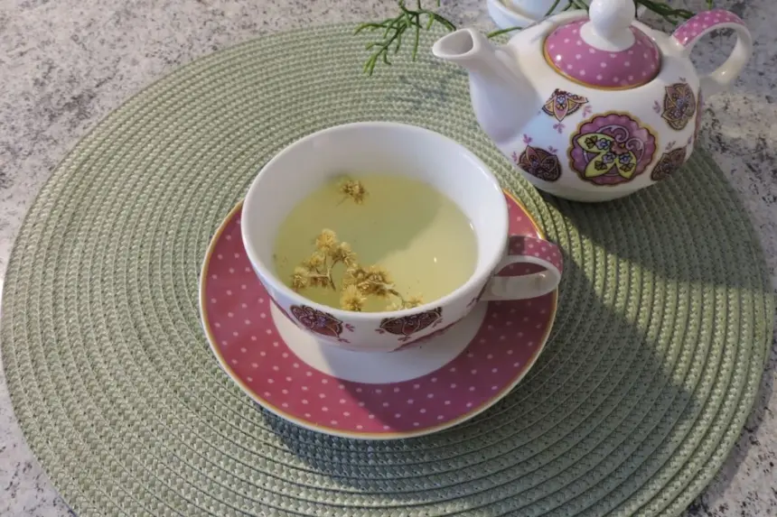 6 chás com marcela e seus benefícios para a saúde 6 chás com marcela e seus benefícios para a saúde