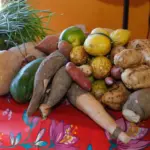 Seapa divulga resultado preliminar do PAA Quilombola 2025 – Portal Goiás Seapa divulga resultado preliminar do PAA Quilombola 2025 – Portal Goiás