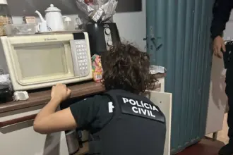 PCGO cumpre ordens judiciais e prende líder de associação criminosa que aplicava golpes na internet – Policia Civil do Estado de Goiás