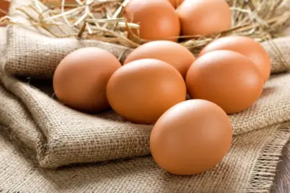 10 alimentos ricos em proteína para substituir o ovo 10 alimentos ricos em proteína para substituir o ovo