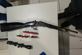 PCGO apreende arma de fogo e munições de investigado por violência doméstica – Policia Civil do Estado de Goiás