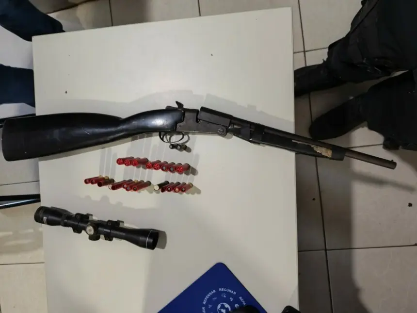 PCGO apreende arma de fogo e munições de investigado por violência doméstica – Policia Civil do Estado de Goiás