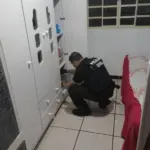 PCGO cumpre mandado de busca contra padrasto por importunação sexual e por armazenar imagens íntimas de enteada