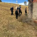 PCGO apreende armas de pressão em Anicuns com sobrinho investigado por ameaçar familiar – Policia Civil do Estado de Goiás