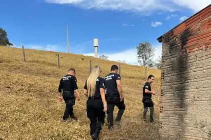 PCGO apreende armas de pressão em Anicuns com sobrinho investigado por ameaçar familiar – Policia Civil do Estado de Goiás