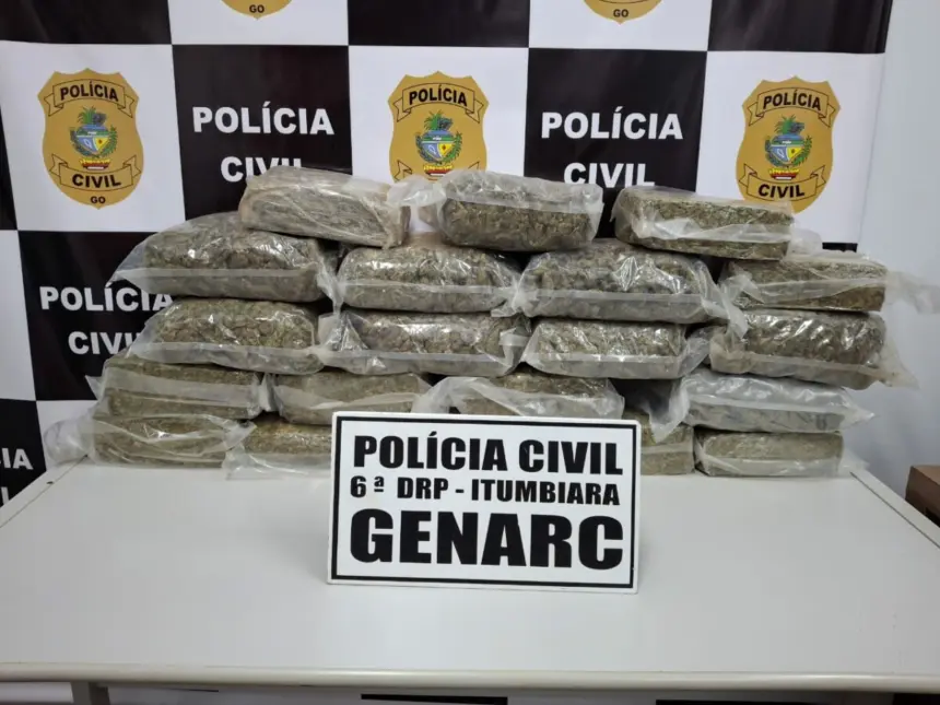 PCGO intercepta carregamento de “supermaconha” avaliado em R$ 500 mil – Policia Civil do Estado de Goiás PCGO intercepta carregamento de “supermaconha” avaliado em R$ 500 mil – Policia Civil do Estado de Goiás