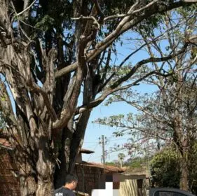 PCGO prende homem que ameaçou matar ex-companheira e filhas em Trindade durante Operação Agosto Lilás – Policia Civil do Estado de Goiás