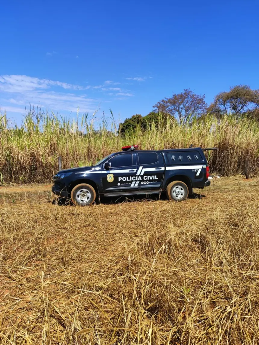 PCGO autua dono de cães que atacaram bezerros em propriedade rural de Caldas Novas – Policia Civil do Estado de Goiás