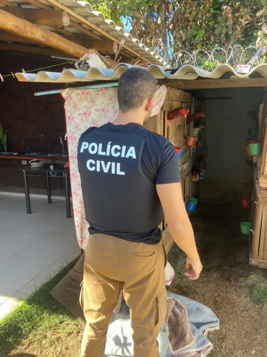 PCGO resgata galos em situação de maus-tratos e usados em rinhas na cidade de Morrinhos – Policia Civil do Estado de Goiás