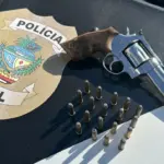 Polícia Civil apreende revólver de investigado por ameaçar a mãe e o irmão em meio a disputa por herança, em Serranópolis