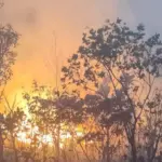 Em uma semana, queimadas disparam 152% em Goiás – Portal Goiás
