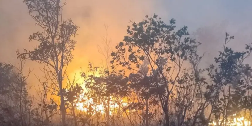 Em uma semana, queimadas disparam 152% em Goiás – Portal Goiás Em uma semana, queimadas disparam 152% em Goiás – Portal Goiás