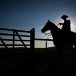 FCO Rural supera marca de R$ 1 bilhão em financiamentos aprovados em 2025 – Portal Goiás