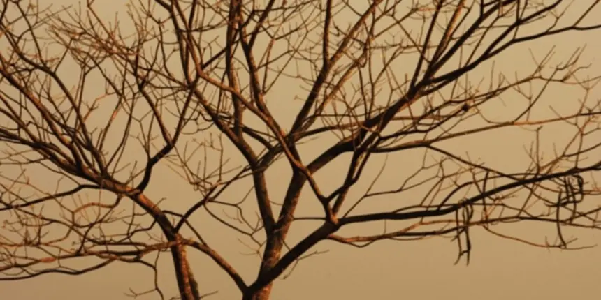 Goiás em alerta extremo para incêndios – Portal Goiás