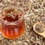 6 benefícios do chá de quebra-pedra e como preparar