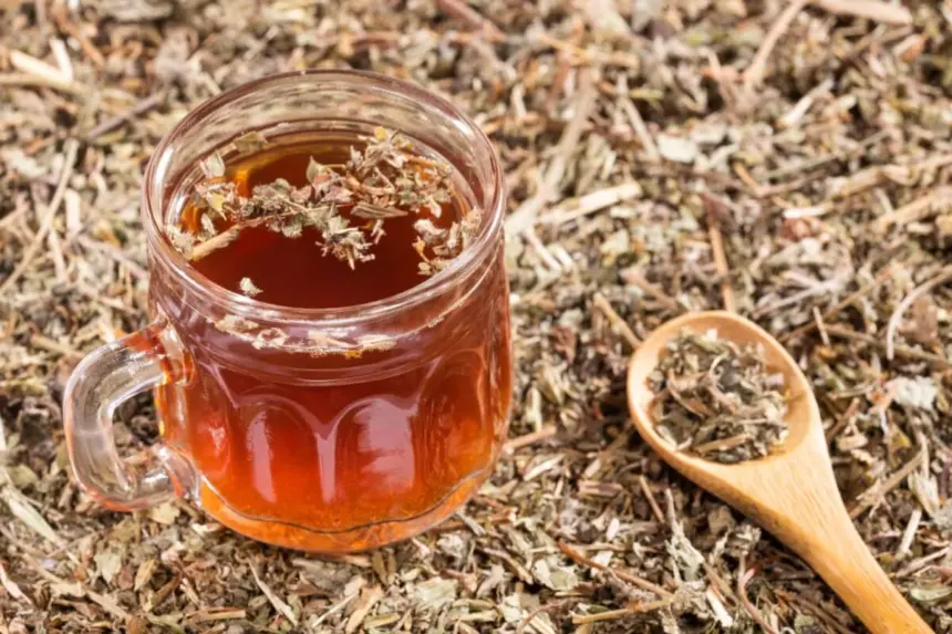 6 benefícios do chá de quebra-pedra e como preparar 6 benefícios do chá de quebra-pedra e como preparar