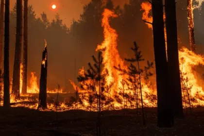 Goiás registra 32 focos de incêndio em 24 horas; Defesa Civil alerta para riscos