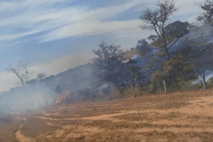 Incêndio de grandes proporções atinge região próxima ao Condomínio Vivalle em Goianésia