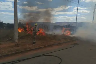 Incêndio em vegetação mobiliza Bombeiros de Goianésia no Daigo