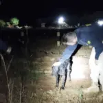 Policiais resgatam cachorro que se afogava em represa às margens de rodovia