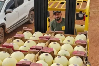 Agrodefesa garante segurança fitossanitária e Goiás inicia exportação de melão para Argentina – Portal Goiás