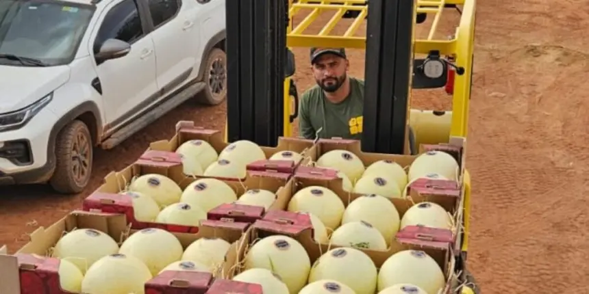 Agrodefesa garante segurança fitossanitária e Goiás inicia exportação de melão para Argentina – Portal Goiás Agrodefesa garante segurança fitossanitária e Goiás inicia exportação de melão para Argentina – Portal Goiás