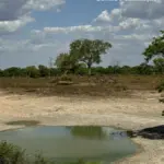 Ação integrada entre PCGO e Semad busca preservar ecossistemas do Lago Luiz Alves e do Rio Araguaia – Policia Civil do Estado de Goiás Ação integrada entre PCGO e Semad busca preservar ecossistemas do Lago Luiz Alves e do Rio Araguaia – Policia Civil do Estado de Goiás