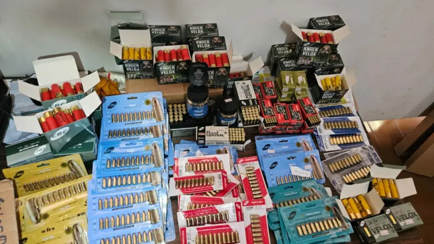 PCGO deflagra operação e apreende arsenal com armas e 4 mil munições – Policia Civil do Estado de Goiás PCGO deflagra operação e apreende arsenal com armas e 4 mil munições – Policia Civil do Estado de Goiás