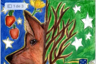 Educação divulga vencedores para estampar capas dos cadernos – Portal Goiás