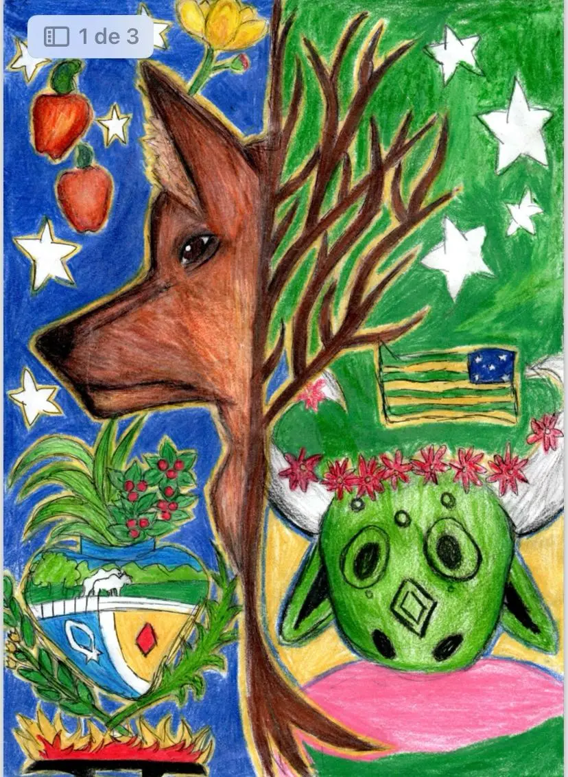 Educação divulga vencedores para estampar capas dos cadernos – Portal Goiás