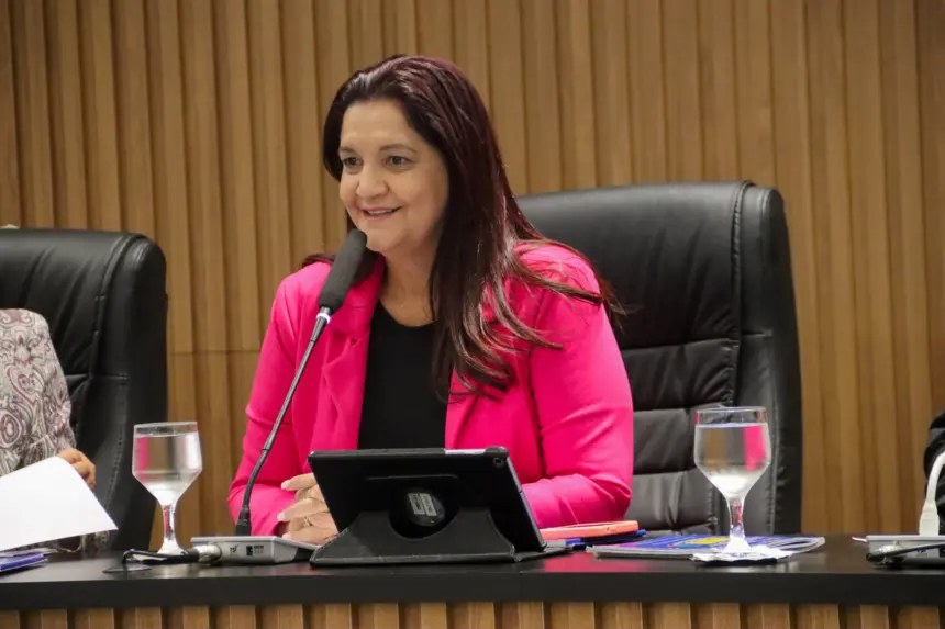 Câmara aprova requerimento para ampliar atendimentos psicológicos gratuitos em Goianésia